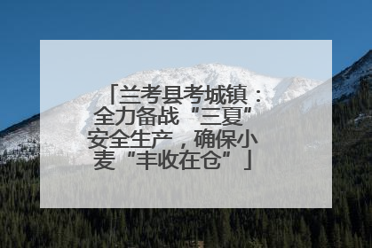 兰考县考城镇：全力备战“三夏”安全生产，确保小麦“丰收在仓”