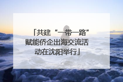 共建“一带一路”赋能侨企出海交流活动在沈阳举行