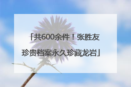 共600余件！张胜友珍贵档案永久珍藏龙岩