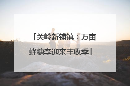 关岭新铺镇：万亩蜂糖李迎来丰收季