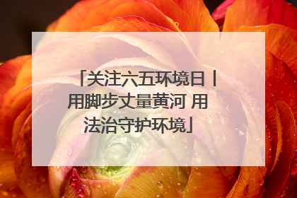 关注六五环境日丨用脚步丈量黄河 用法治守护环境
