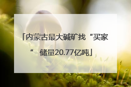 内蒙古最大碱矿找“买家” 储量20.77亿吨