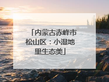 内蒙古赤峰市松山区：小湿地里生态美