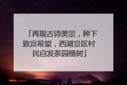 再现古诗美景，种下致富希望，西湖景区村民自发茶园植树