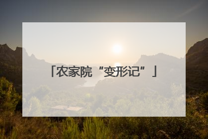 农家院“变形记”