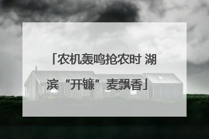 农机轰鸣抢农时 湖滨“开镰”麦飘香