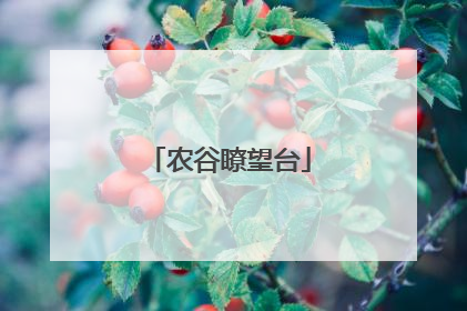 农谷瞭望台