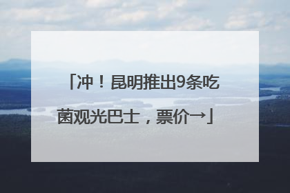 冲！昆明推出9条吃菌观光巴士，票价→