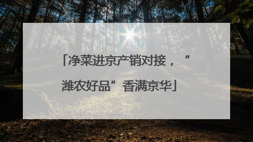 净菜进京产销对接，“潍农好品”香满京华