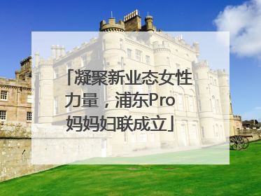 凝聚新业态女性力量，浦东Pro妈妈妇联成立