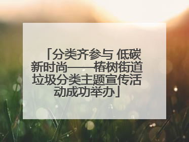 分类齐参与 低碳新时尚——椿树街道垃圾分类主题宣传活动成功举办