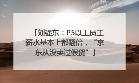 刘强东：P5以上员工薪水基本上都翻倍，“京东从没卖过假货”