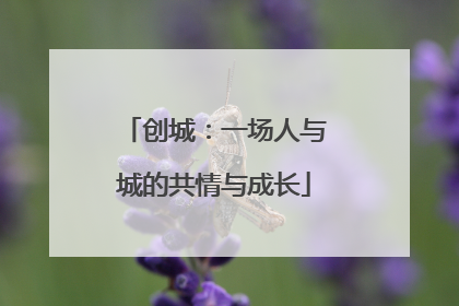 创城：一场人与城的共情与成长