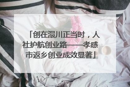 创在澴川正当时，人社护航创业路——孝感市返乡创业成效显著