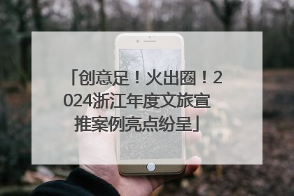 创意足！火出圈！2024浙江年度文旅宣推案例亮点纷呈