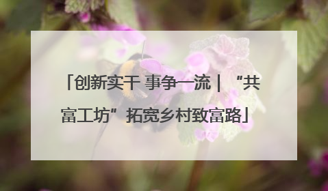 创新实干 事争一流｜“共富工坊”拓宽乡村致富路