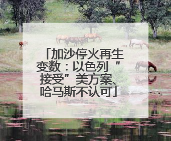 加沙停火再生变数：以色列“接受”美方案、哈马斯不认可
