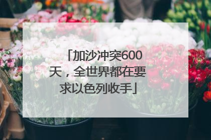 加沙冲突600天，全世界都在要求以色列收手