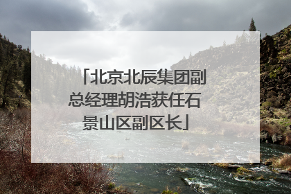 北京北辰集团副总经理胡浩获任石景山区副区长