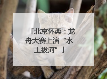 北京怀柔：龙舟大赛上演“水上拔河”
