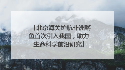 北京海关护航非洲鳉鱼首次引入我国，助力生命科学前沿研究