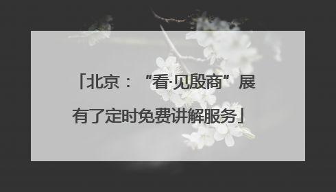 北京：“看·见殷商”展有了定时免费讲解服务