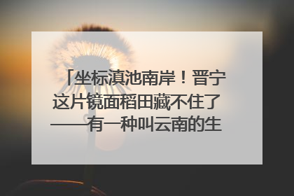 坐标滇池南岸！晋宁这片镜面稻田藏不住了——有一种叫云南的生活之365天