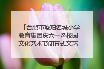 合肥市琥珀名城小学教育集团庆六一暨校园文化艺术节闭幕式文艺汇演圆满举行