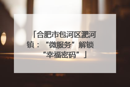 合肥市包河区淝河镇：“微服务”解锁“幸福密码”