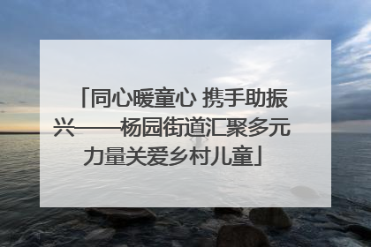 同心暖童心 携手助振兴——杨园街道汇聚多元力量关爱乡村儿童