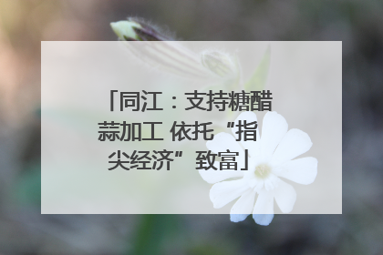 同江：支持糖醋蒜加工 依托“指尖经济”致富