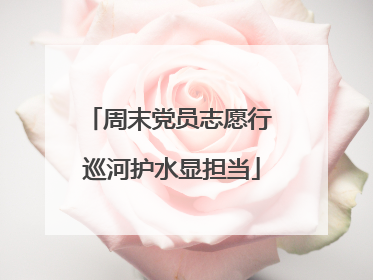 周末党员志愿行 巡河护水显担当