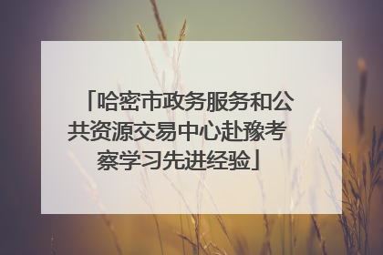 哈密市政务服务和公共资源交易中心赴豫考察学习先进经验