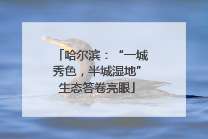 哈尔滨：“一城秀色，半城湿地”生态答卷亮眼