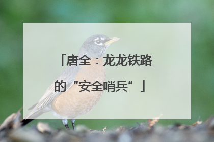唐全：龙龙铁路的“安全哨兵”