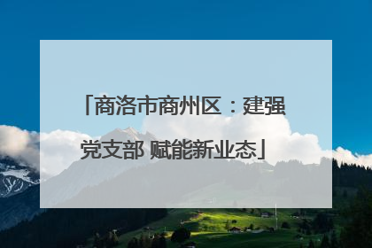 商洛市商州区：建强党支部 赋能新业态