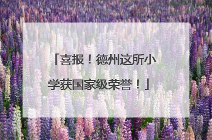 喜报！德州这所小学获国家级荣誉！