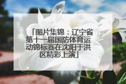 图片集锦：辽宁省第十一届国防体育运动锦标赛在沈阳于洪区精彩上演