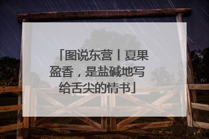 图说东营丨夏果盈香，是盐碱地写给舌尖的情书