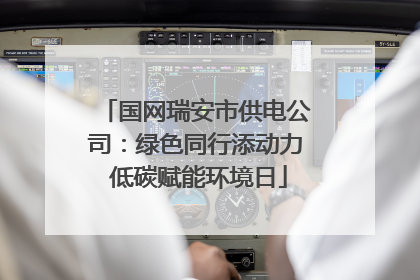 国网瑞安市供电公司：绿色同行添动力 低碳赋能环境日