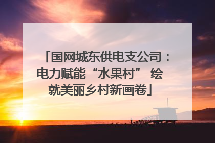 国网城东供电支公司：电力赋能“水果村” 绘就美丽乡村新画卷