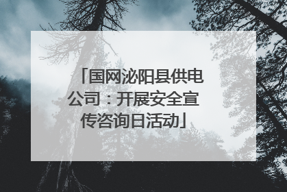 国网泌阳县供电公司：开展安全宣传咨询日活动