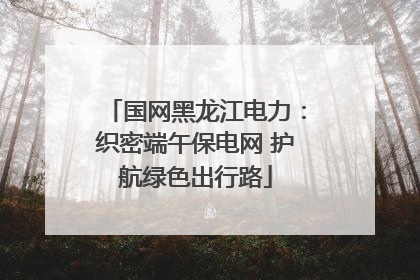 国网黑龙江电力：织密端午保电网 护航绿色出行路