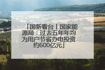 国新看台丨国家能源局:过去五年年均为用户节省办电投资约600亿元