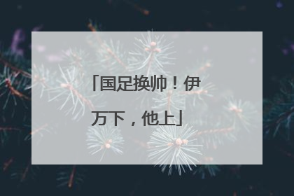 国足换帅！伊万下，他上