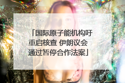 国际原子能机构吁重启核查 伊朗议会通过暂停合作法案