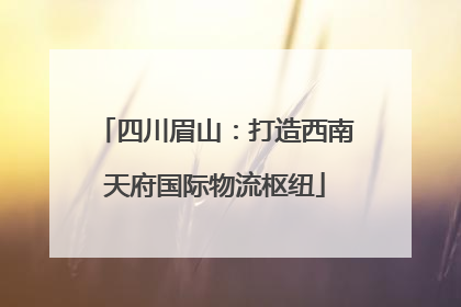 四川眉山：打造西南天府国际物流枢纽