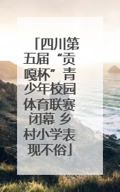 四川第五届“贡嘎杯”青少年校园体育联赛闭幕 乡村小学表现不俗