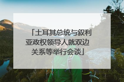 土耳其总统与叙利亚政权领导人就双边关系等举行会谈