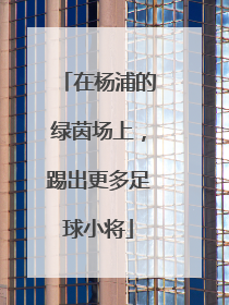 在杨浦的绿茵场上，踢出更多足球小将